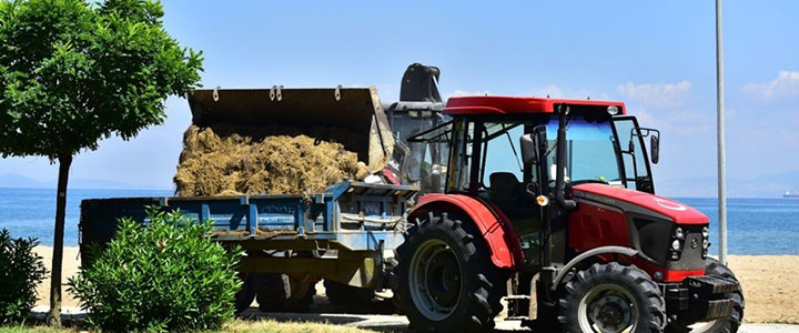 YALOVA'DA TEMİZLİK ÇALIŞMASI SÜRÜYOR