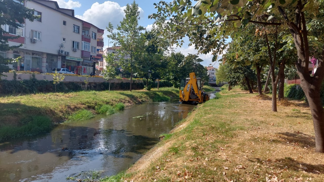 YALOVA SAFRAN DERESİ TEMİZLENİYOR