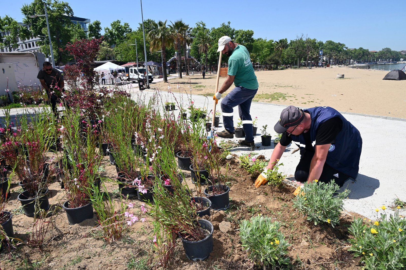 YALOVA'DA ALTYAPI VE PEYZAJ ÇALIŞMASI