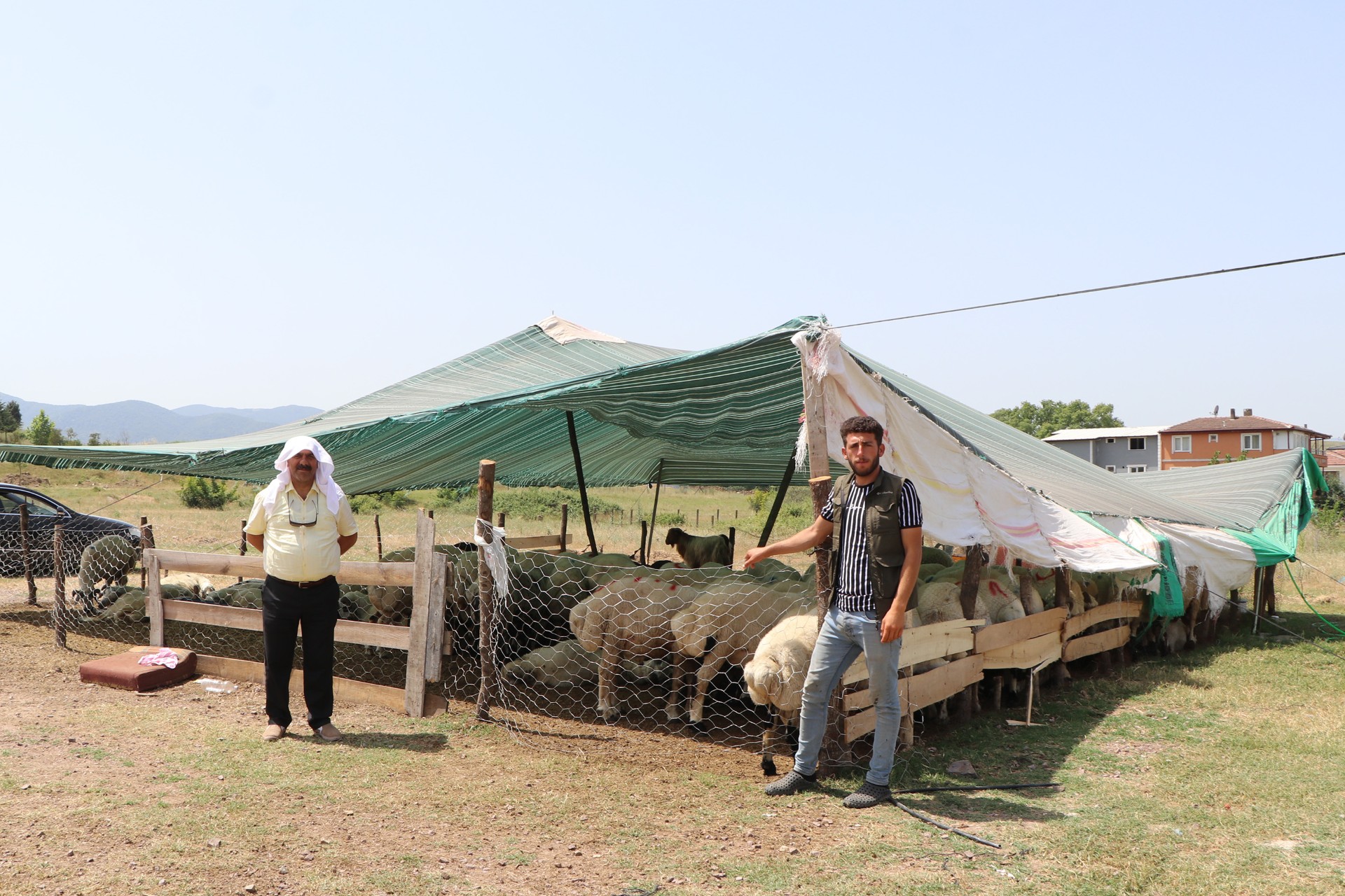 ÇİFTLİKKÖY KURBAN PAZARI BAYRAMA HAZIR