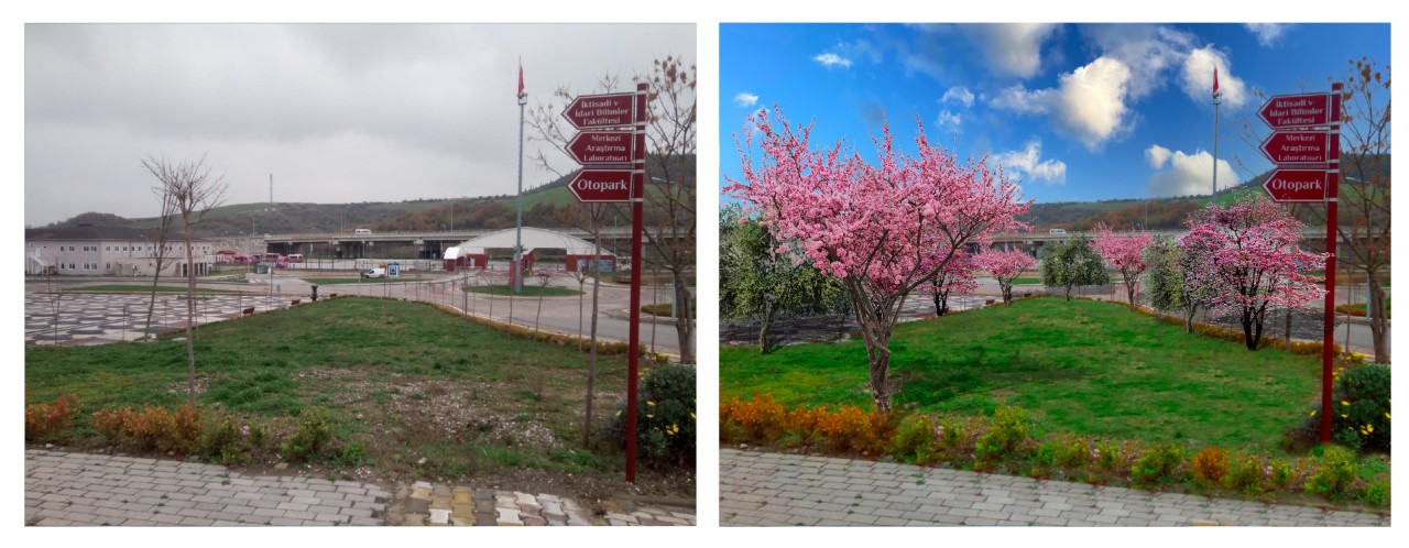 YALOVA ÜNİVERSİTESİNDE TÜRK JAPON DOSTLUK ORMANI