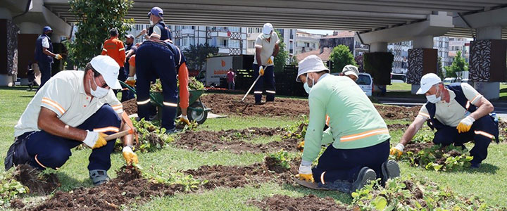 YALOVA BELEDİYESİNDEN PEYZAJ ÇALIŞMASI