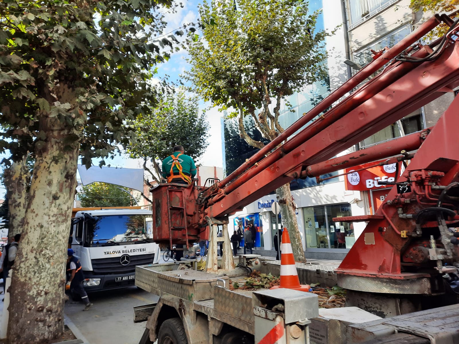 İSTANBUL CADDESİ’NDE BUDAMA ÇALIŞMALARI